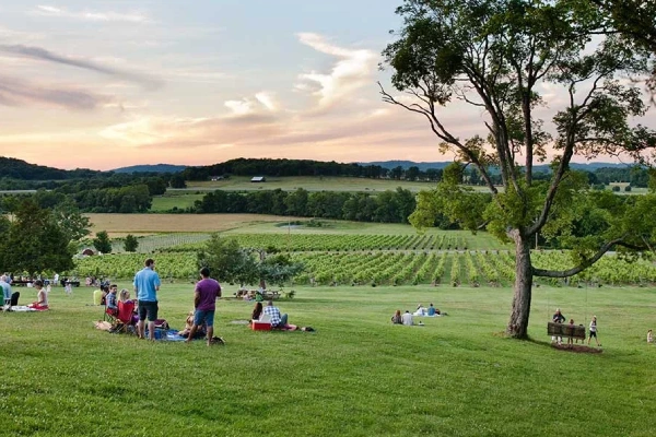 Discover the tranquility of Arrington