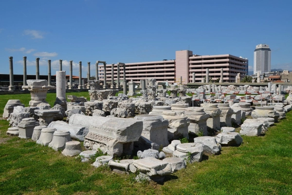 Discover Life in Smyrna